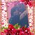 Nadia Hinkson-Irizarry's profile image