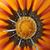 Tischia Bluske's profile image