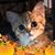 Kathy Shaw's profile image