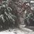 Lisa Parrish Spradlin's profile image