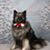 Elinor Kaderbek's profile image