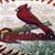 Shawn Spaulding's profile image