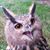 Simon Flood's profile image