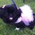 Gwen Johnson Dubay's profile image