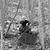 Dwain Hensley's profile image