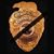 Dusty Carroll's profile image