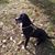Connie Djuth's profile image
