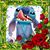 Terry Uveges's profile image
