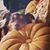 Katie Tapia-Lynch's profile image