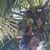 Peter K. Castillo's profile image
