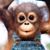 Mary Parent's profile image