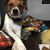 Heather Bolt Shubert's profile image
