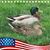 Shirley Poole's profile image