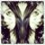 Nissa Camacho's profile image