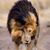 Andrew Bonniwell's profile image