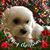 Daralyn Duquette's profile image