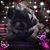 Patti Hensen's profile image