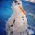Aimee Taylor Barget's profile image