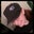 Kristal's profile image