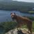 Heather Bolduc's profile image