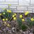 Marilyn McLinn's profile image
