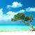 Carol Houle's profile image