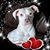 Deanne Richard's profile image