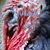 Pam Catron's profile image