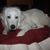 Paula Adams's profile image