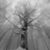 Jeanne Bliss's profile image