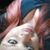 Karen Michelle Sanchez Caro's profile image
