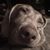George Hatchell's profile image