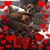 Gina Marie's profile image