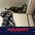 Kimberly Maloney's profile image