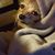 Suzanne Walker's profile image