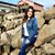 Tina Mazzi's profile image