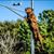 Debra Mittelsteadt's profile image