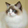 Barbara W.'s profile image
