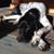 Aimee Woods Kollinger's profile image