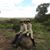 Kathryn J. Hardy's profile image