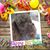 Cynthia Smith's profile image