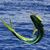 Jimmy Buczek's profile image