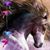 Dee Chambers's profile image
