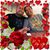 Salote E Tuaato's profile image