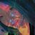 Candace Davenport's profile image