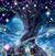 Tammy Dallas-Schnoor's profile image