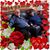 Terry Louis Reed's profile image