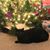 Sheri Miller Mushrush's profile image