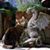 Eve McGivern's profile image