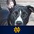 Tammy D. Lute's profile image